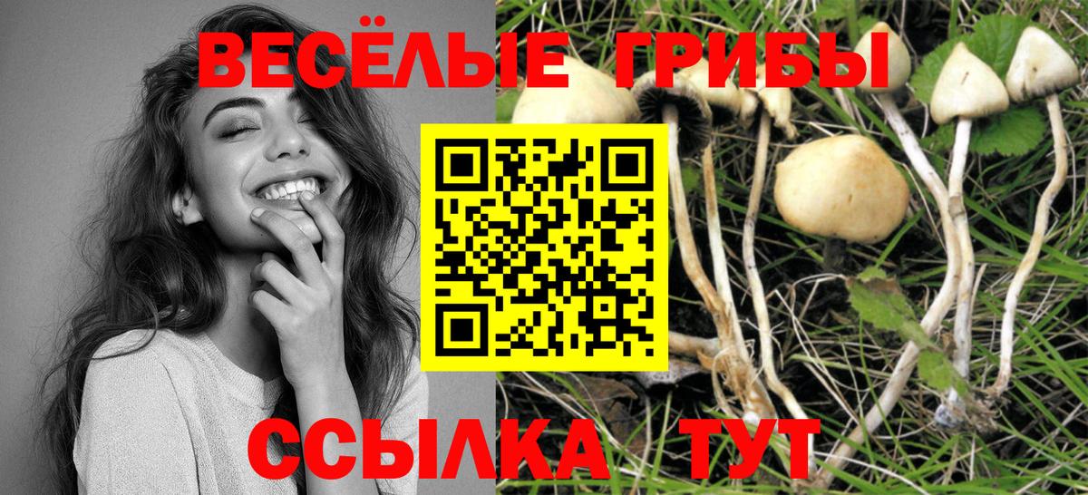 Псилоцибиновые грибы GOLDEN TEACHER  Вход с VPN  Дивногорск 
