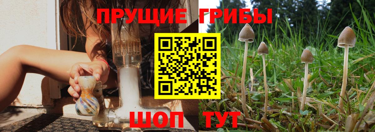 Галлюциногенные грибы Magic Shrooms Дивногорск